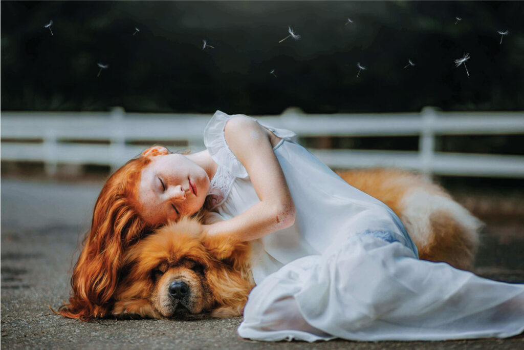 The Healing Power of Dogs