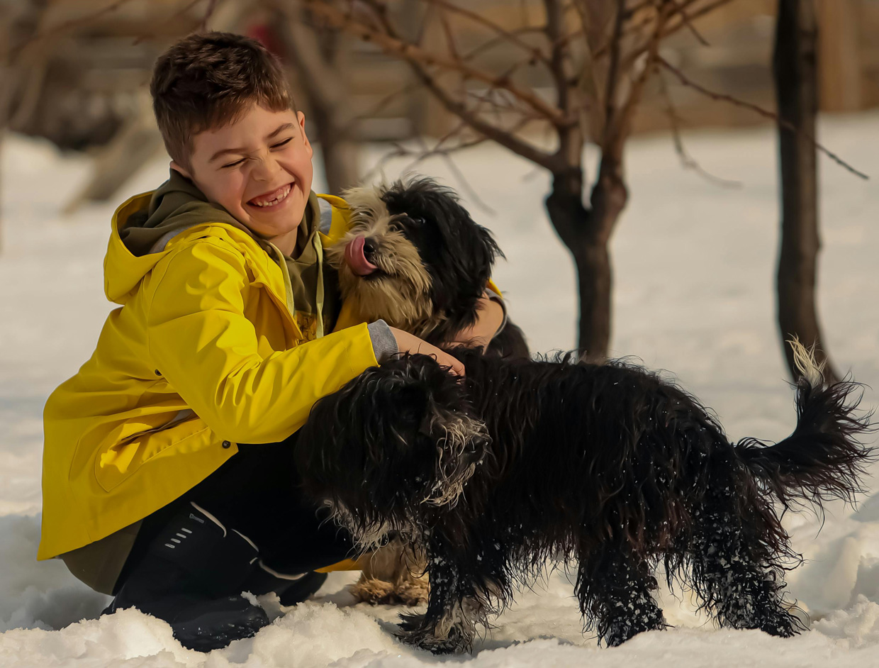 Kid playing with dog